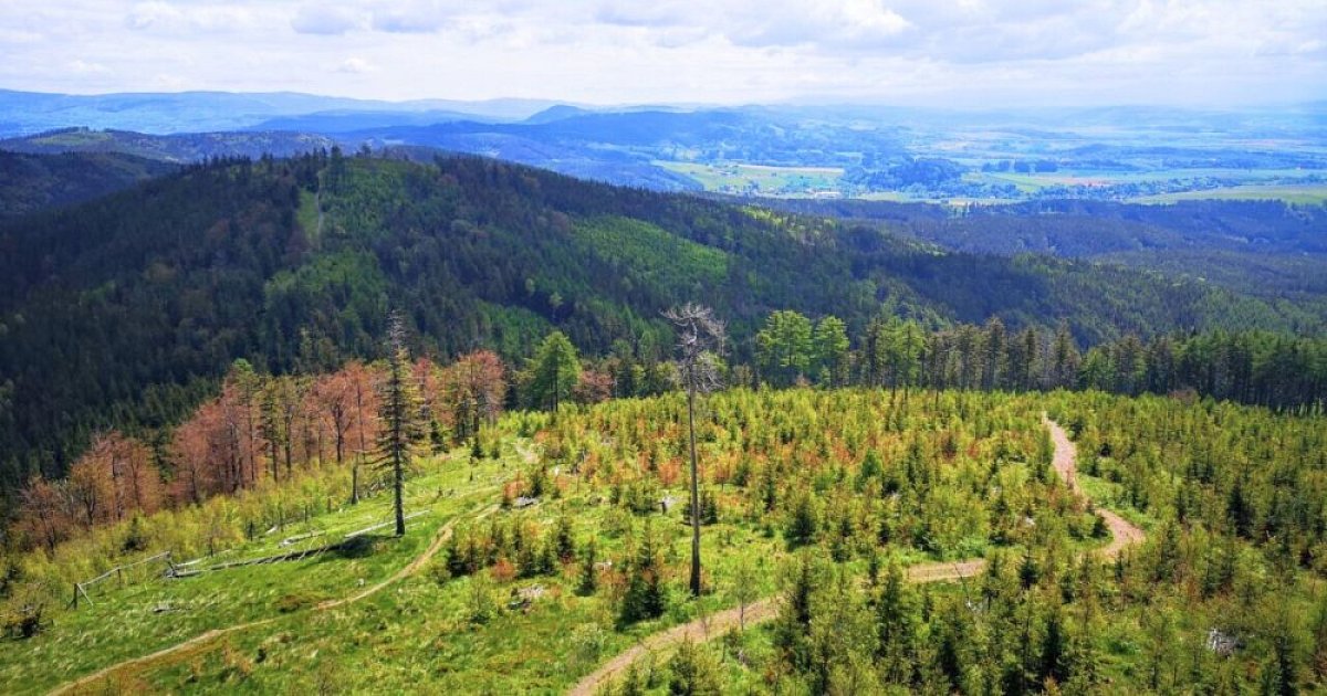 Hrebenovka - Broumovsko