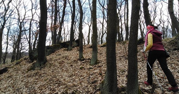 Kłusujemy w dół