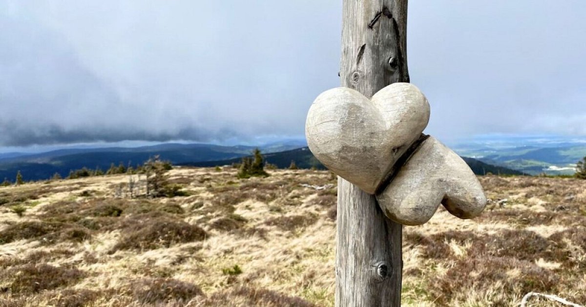 Hearts Challenge 2023