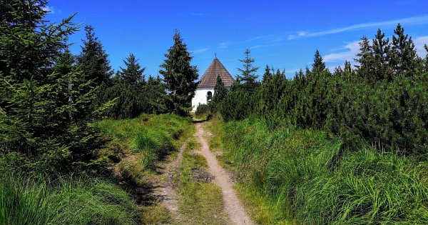 Orlicki Górołaz