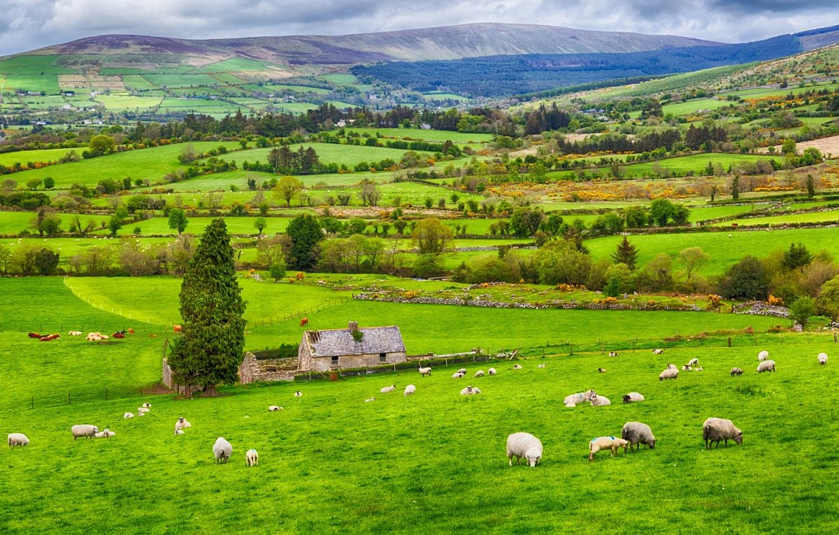 Irlandia