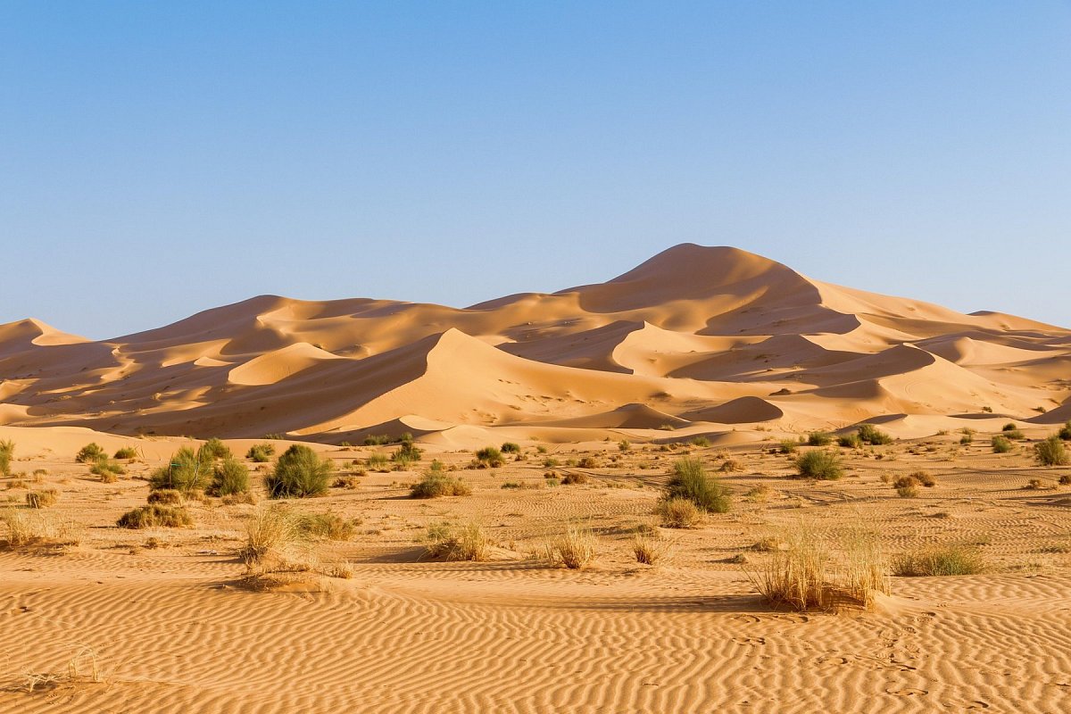 Sahara Zachodnia