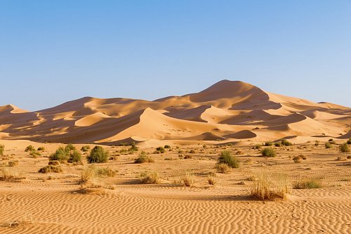 Sahara Zachodnia