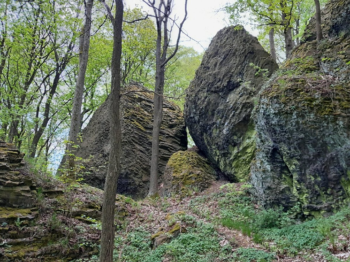 Chotovický vrch (498 m)