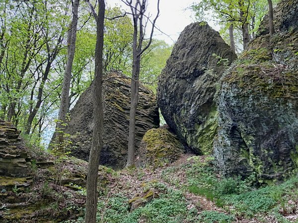 Chotovický vrch