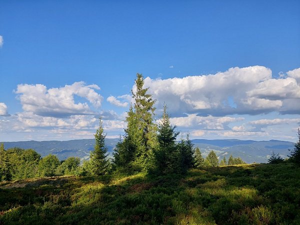 Trześniowy Groń