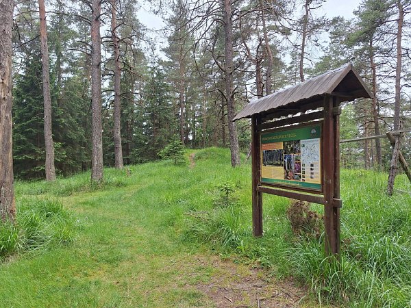Vlčí kámen