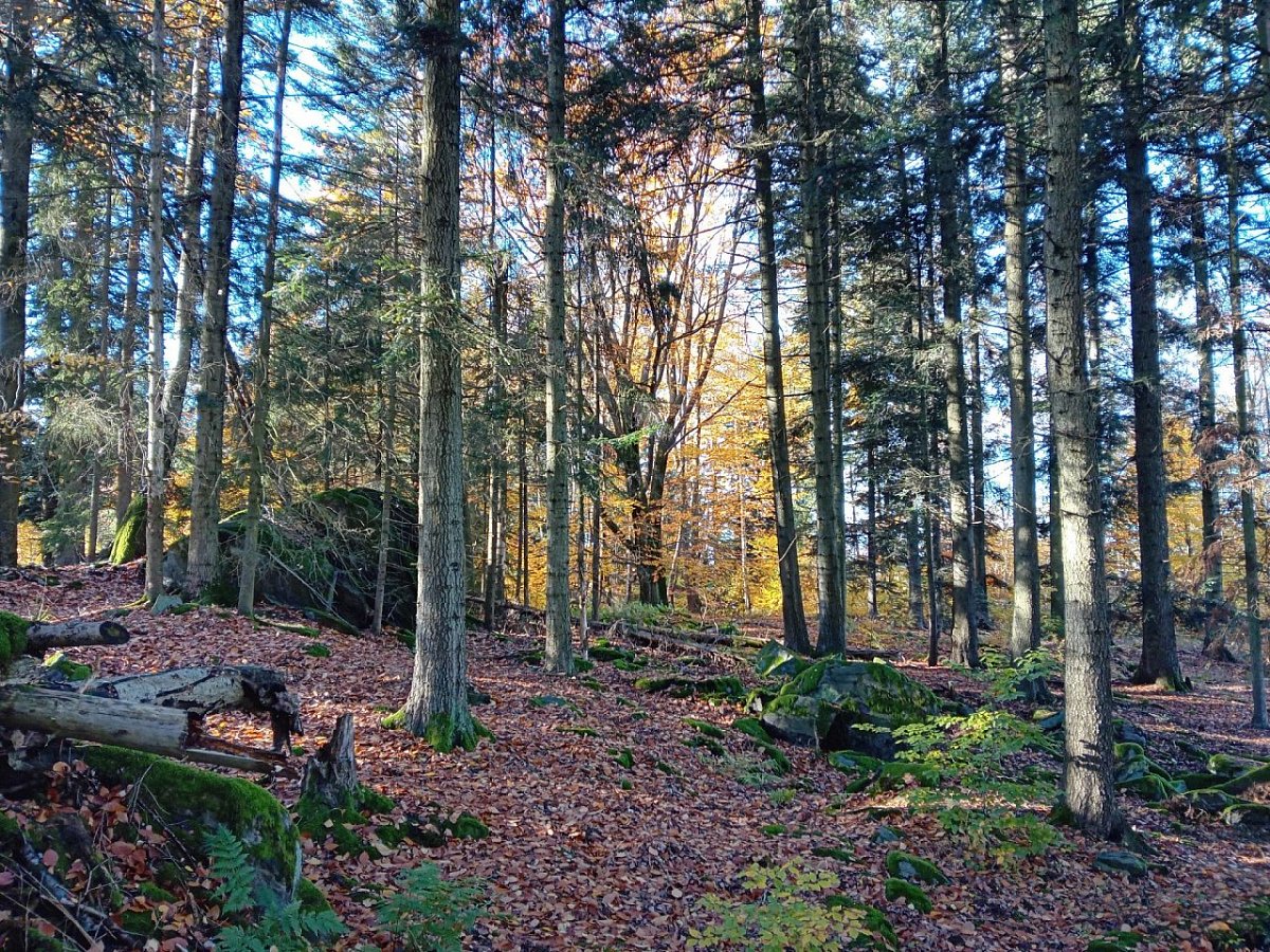 Hatě (680&nbsp;m)