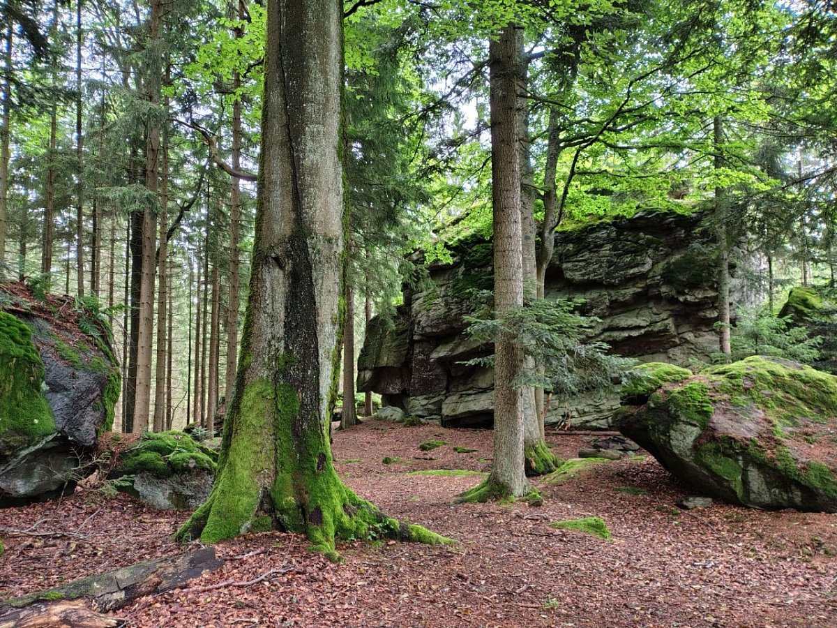 Rohanovský vrch (1008&nbsp;m)