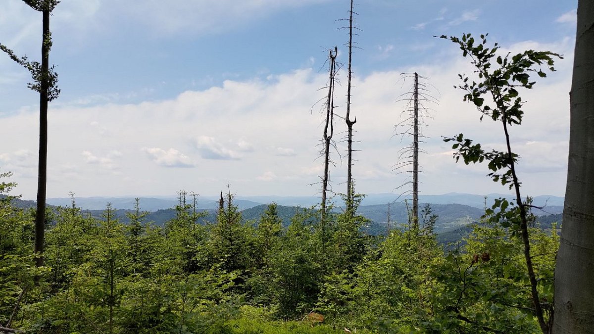 Veľký Príslop (1044 m)