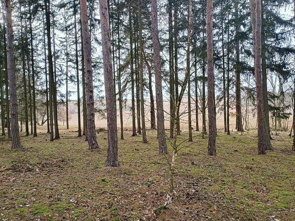 Mlýnský vrch