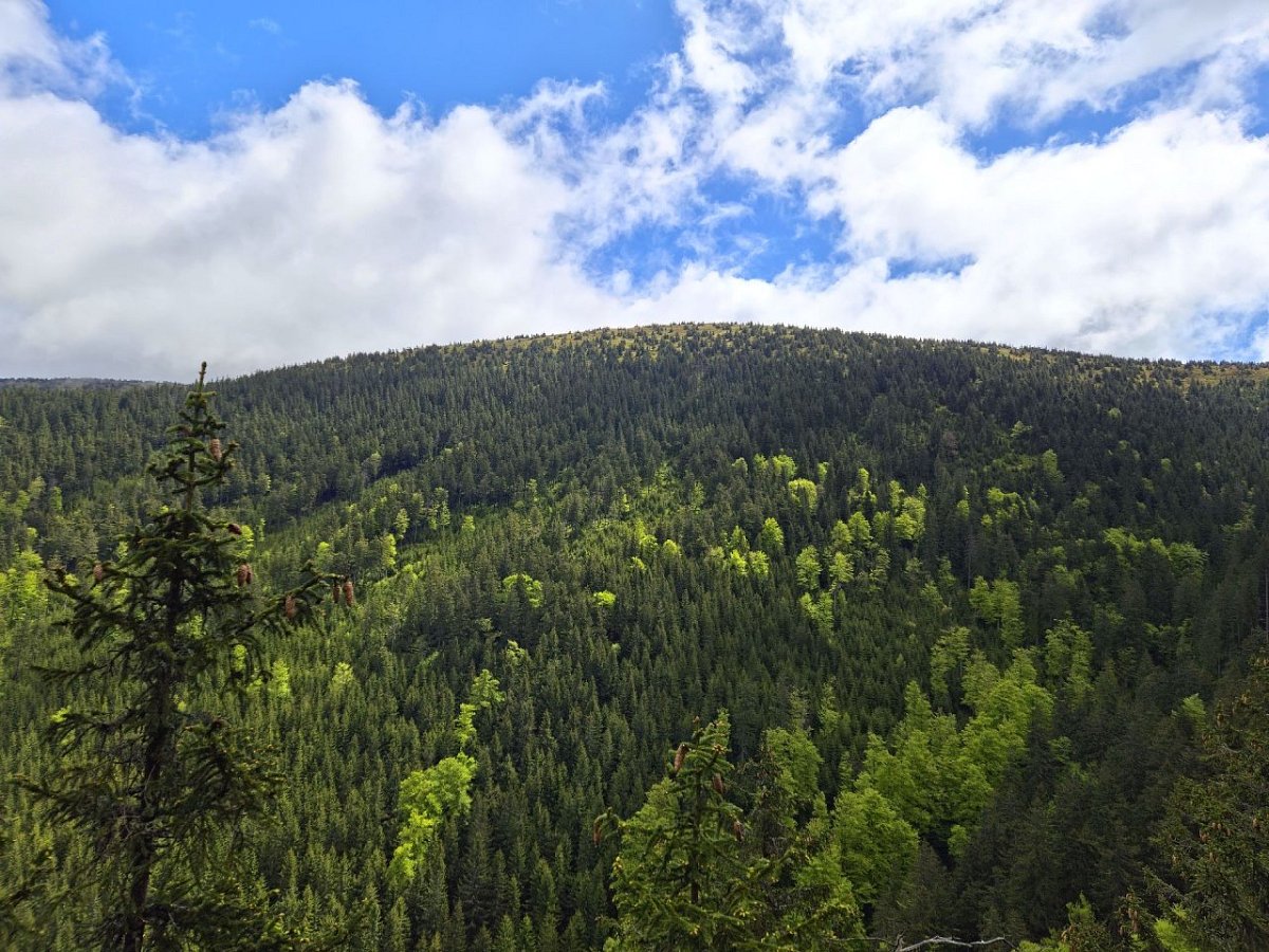 Čertova stěna (1075&nbsp;m)