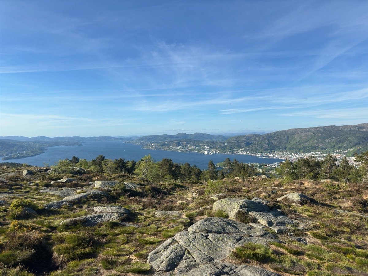 Damsgårdsfjellet (345 m)