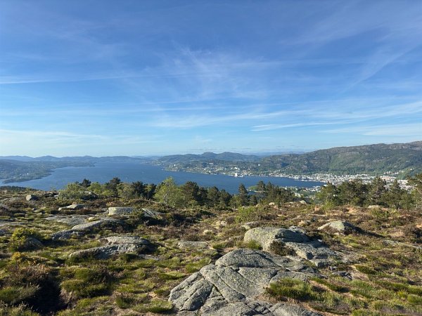 Damsgårdsfjellet