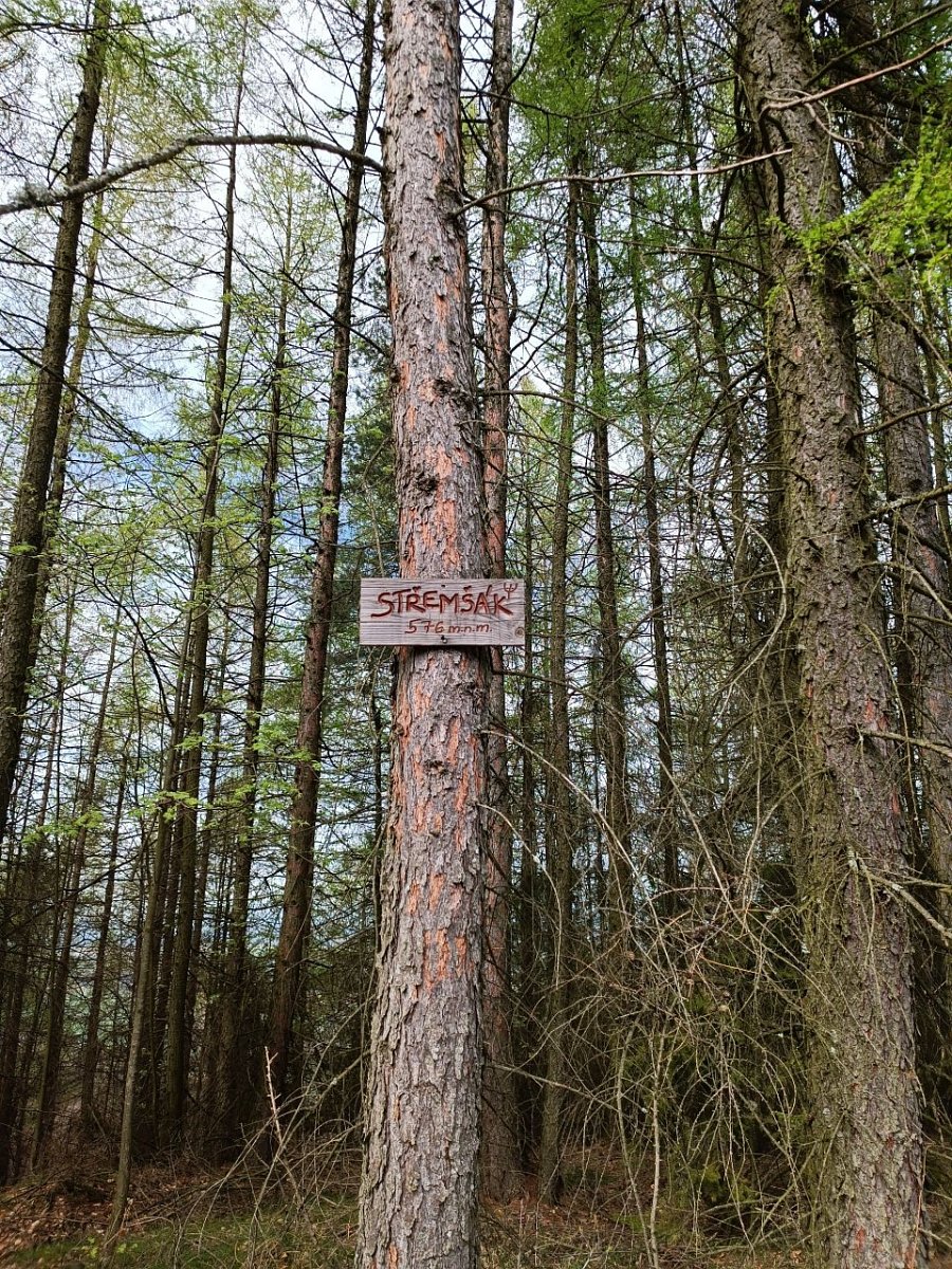 Střemšák (577 m)