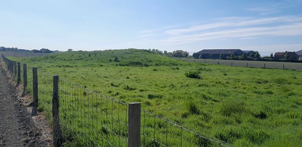 Vliedberg