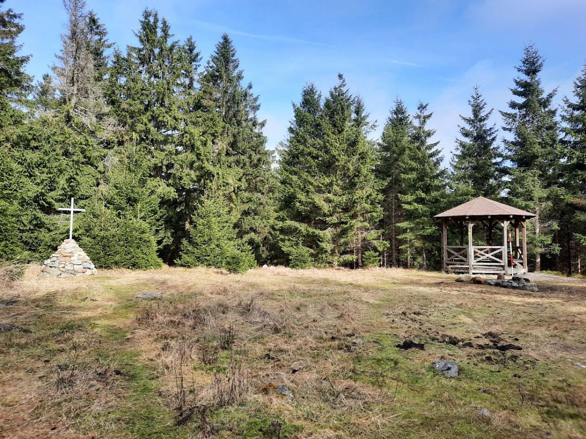 Lesný (983 m)