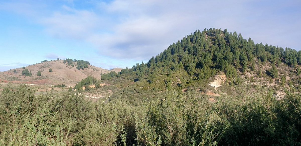 Montaña Piedra Alta (1165 m)