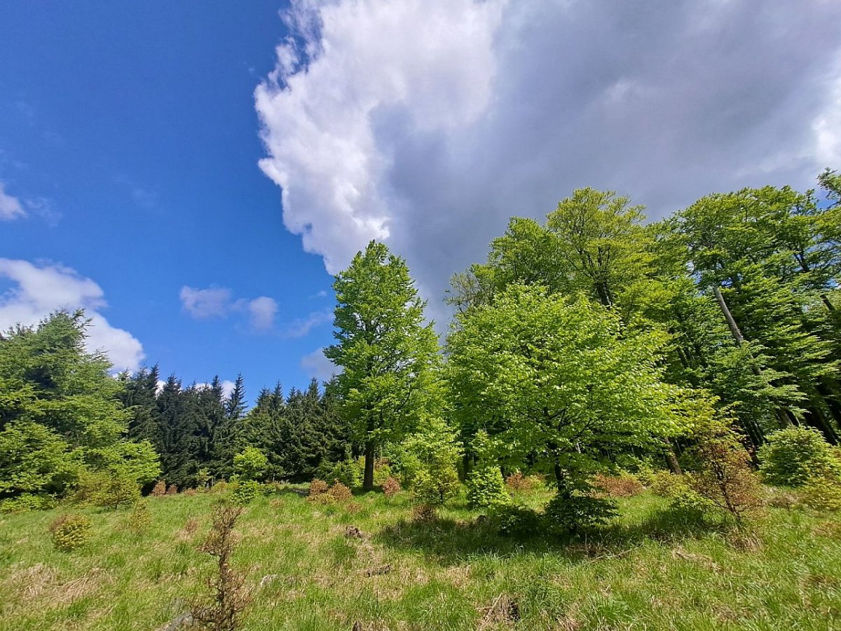 Řemdih (741 m)