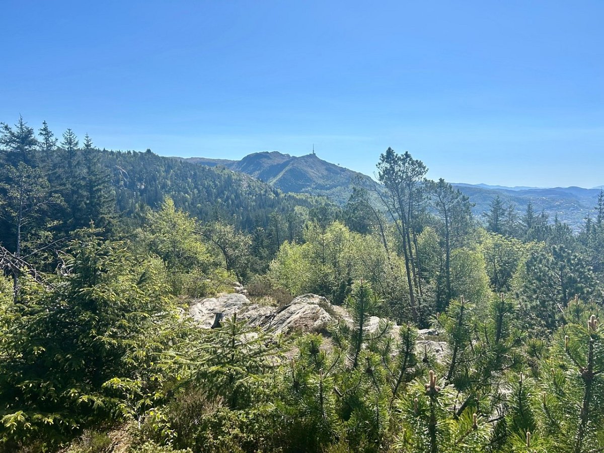 Fløyfjellet (400 m)