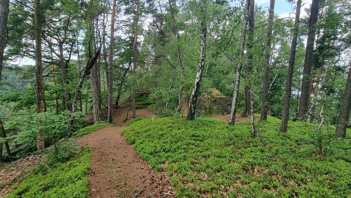 Kočičí hřbet (413&nbsp;m)