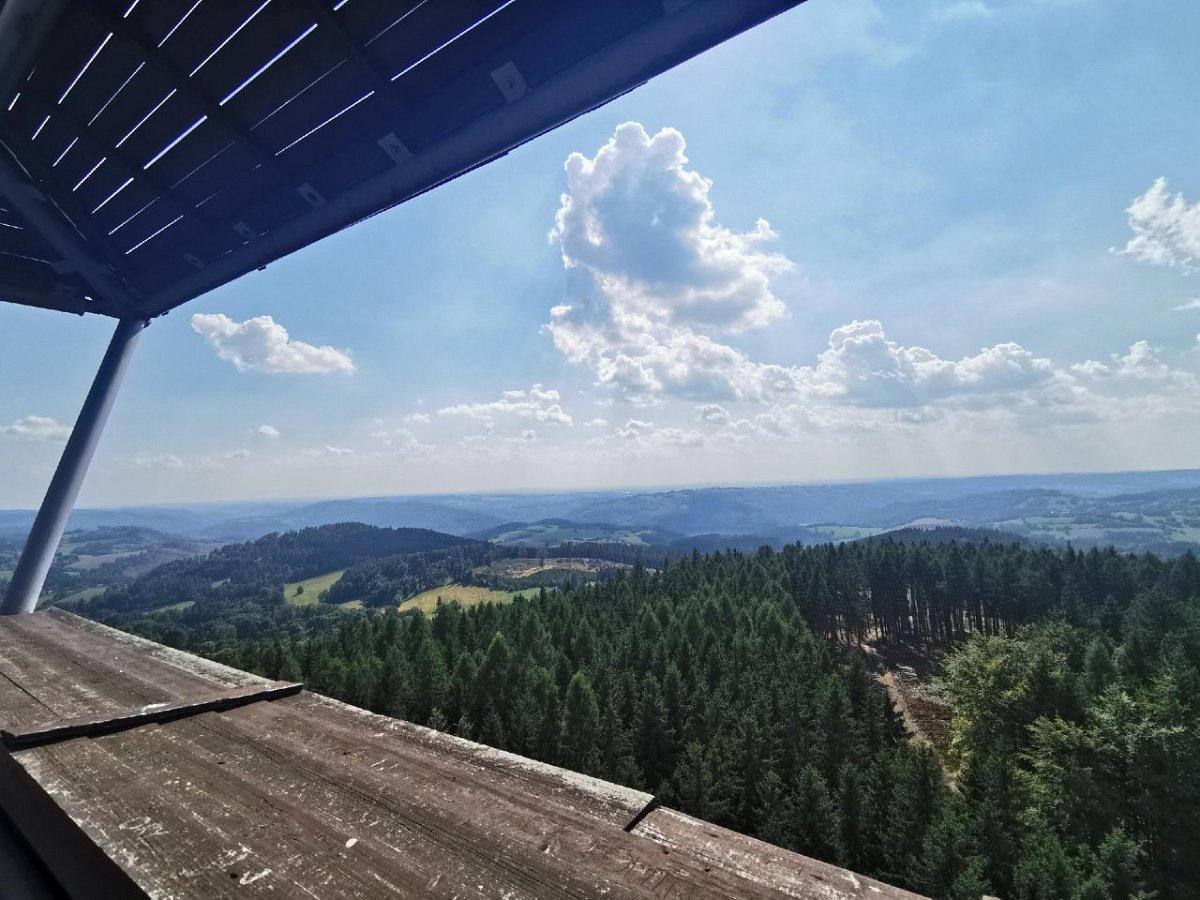 Horní les (772&nbsp;m)