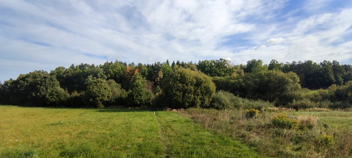 Otínský vrch (535 m)
