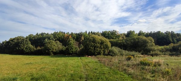 Otínský vrch