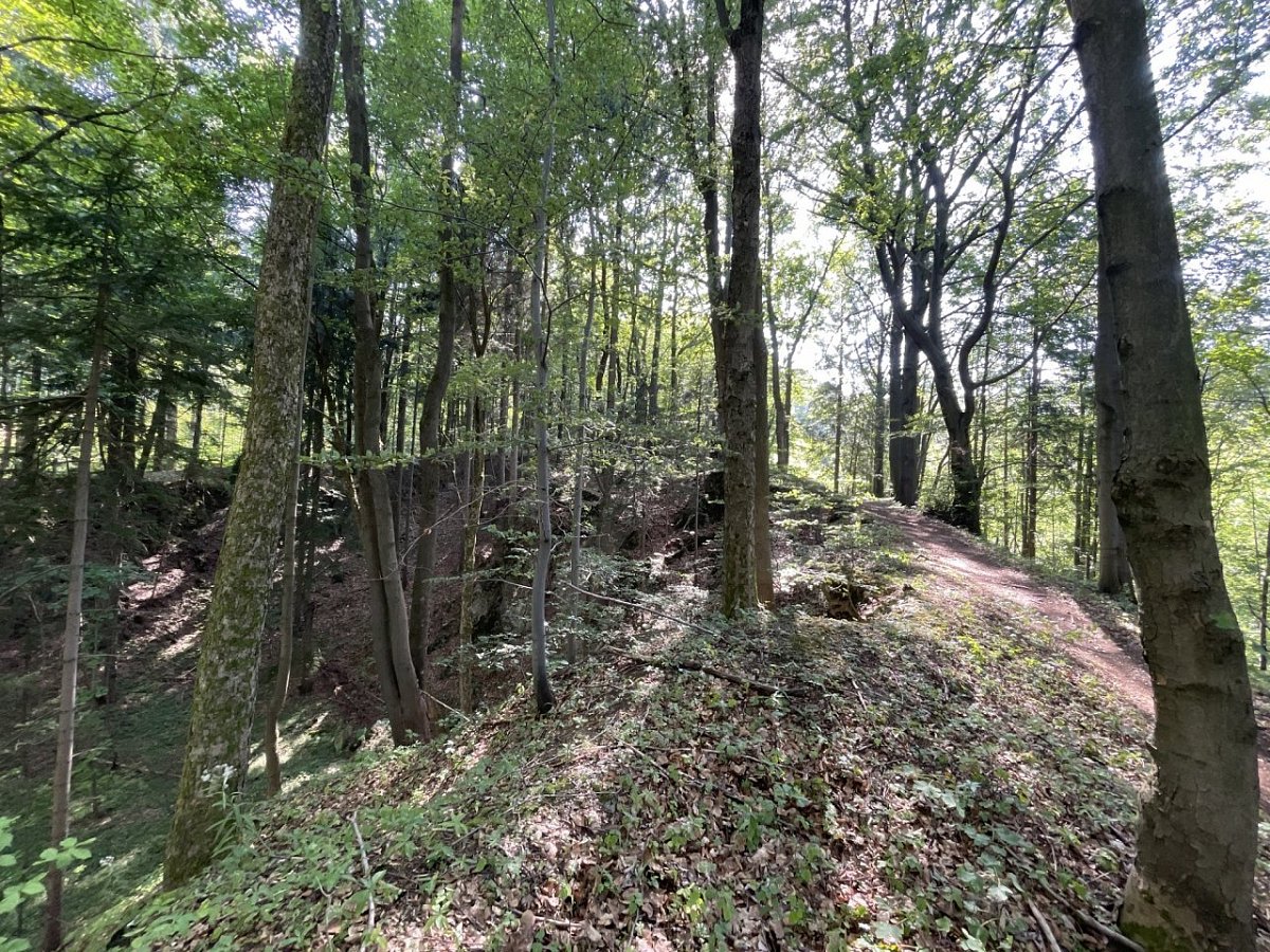 Matyášův vrch (625 m)