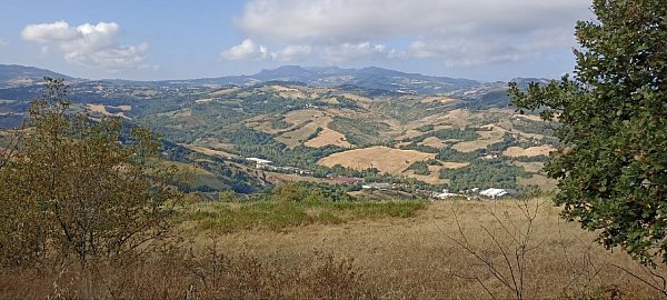 Monte Cerreto