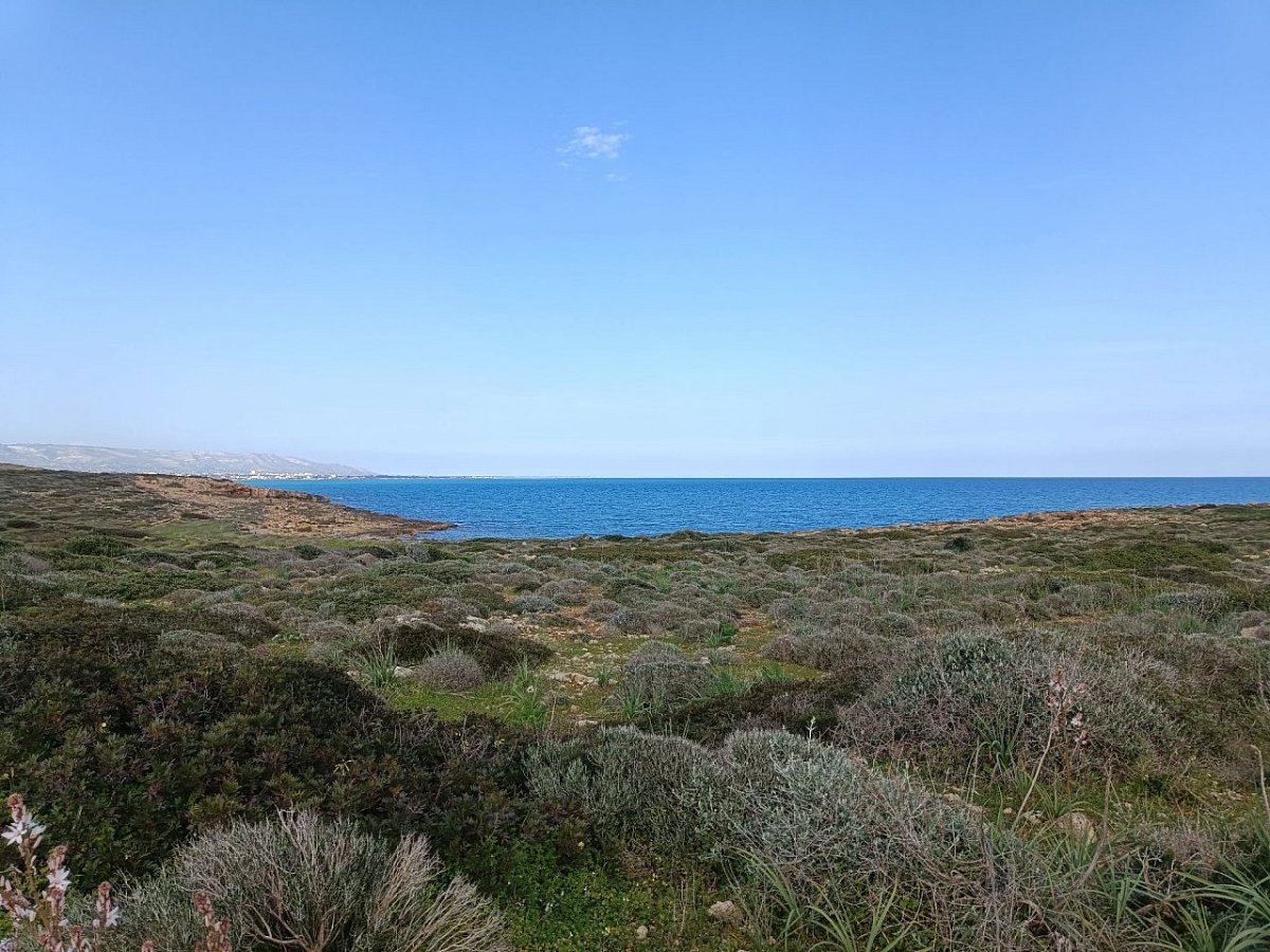 Cozzo Balsamo (14&nbsp;m)