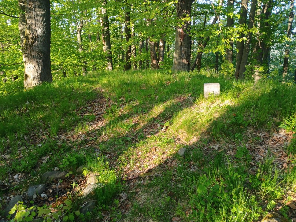 Hamerský Špičák (452 m)