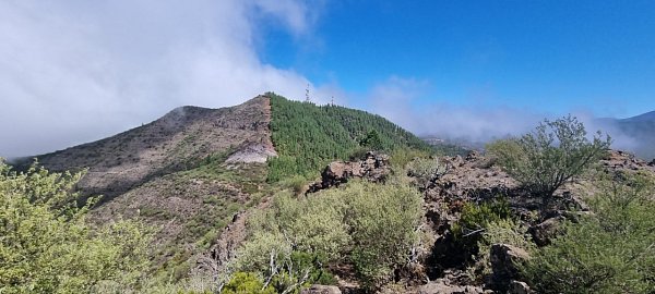 Risco Verde