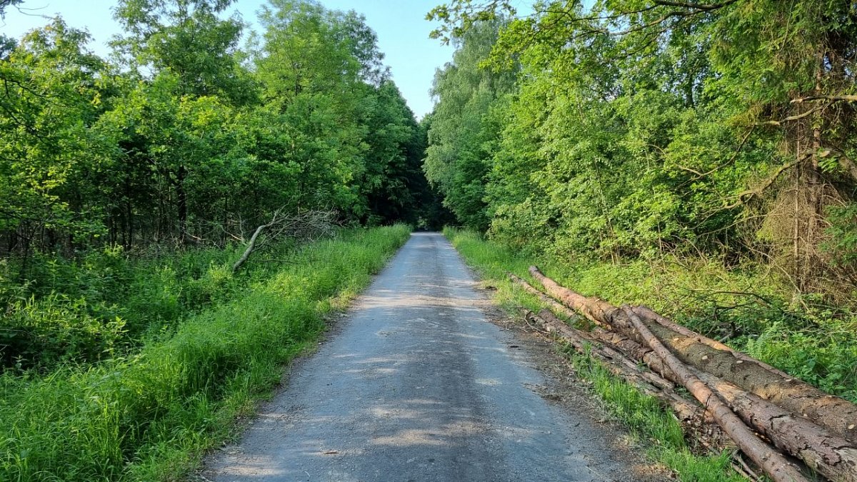 Zdeňulka (312 m)