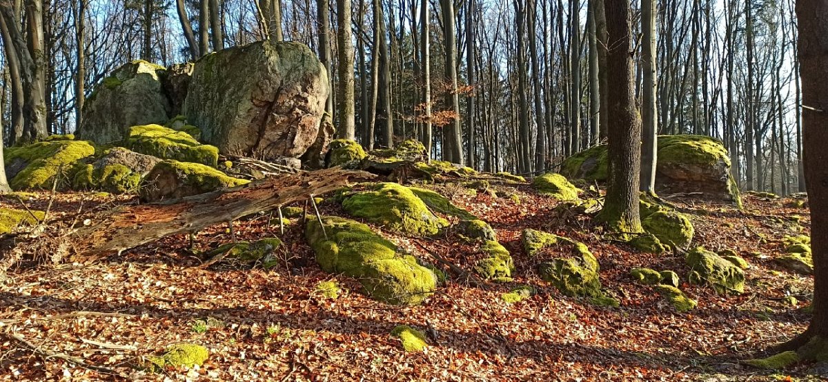 Buzrakov (641&nbsp;m)