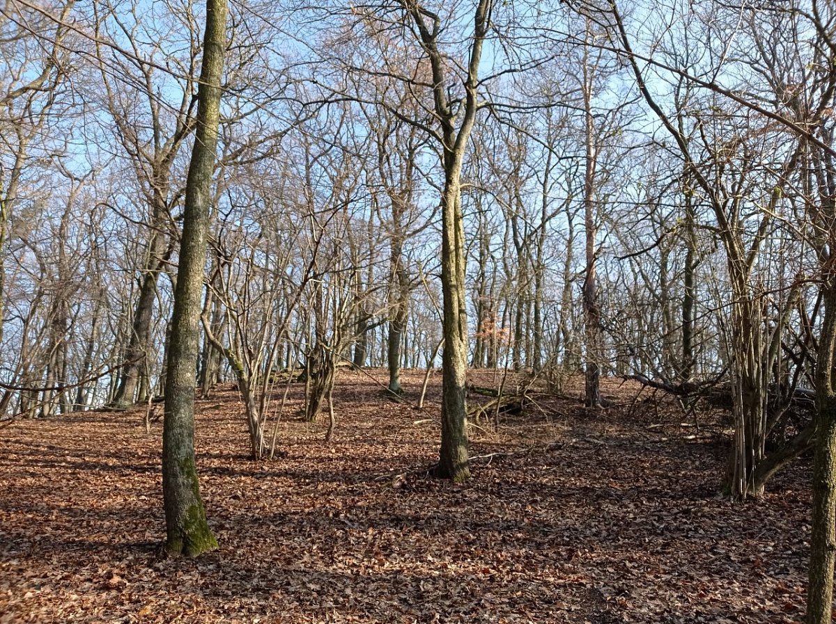 Lišákův vrch (500 m)