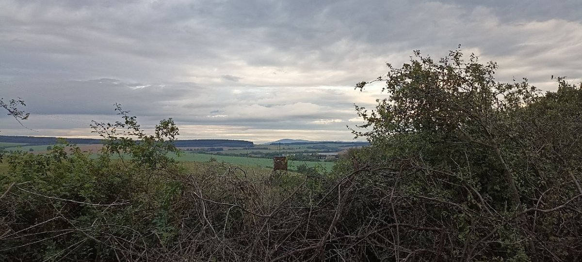 Skala (236&nbsp;m)