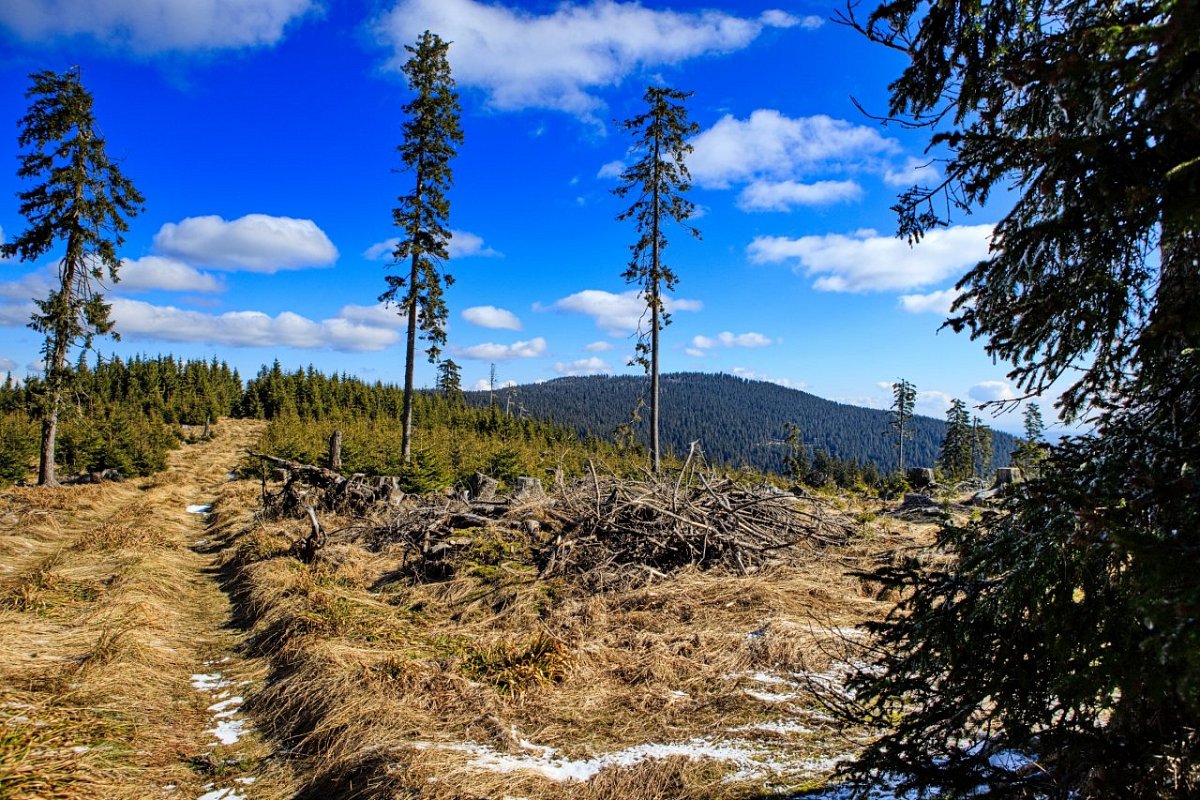 Basumský hřeben (1288 m)