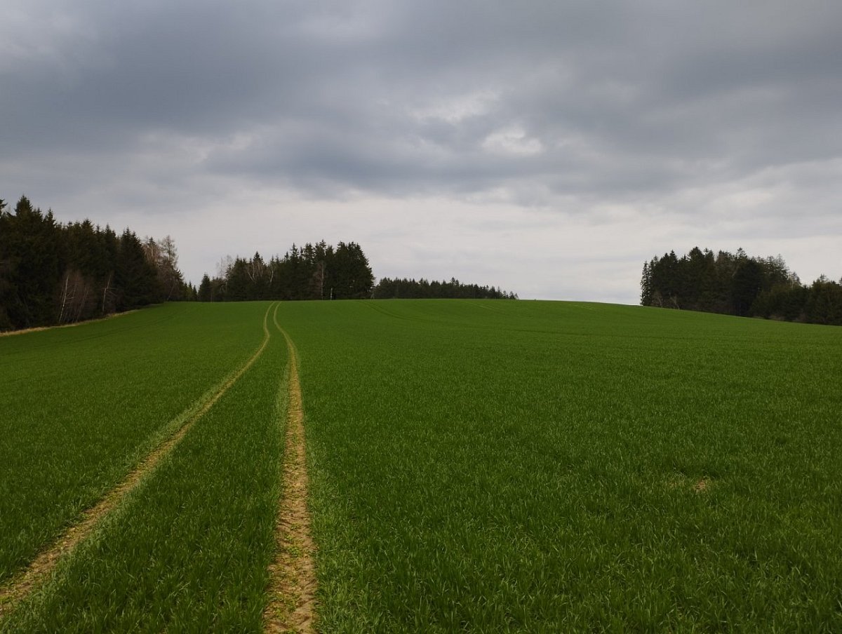 Baldský vrch (693 m)