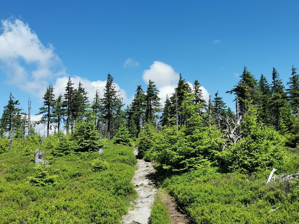 Černá kupa (1295 m)