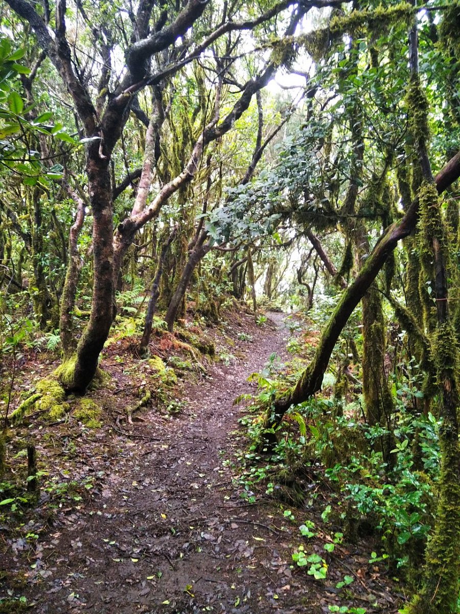 Anambra (886 m)