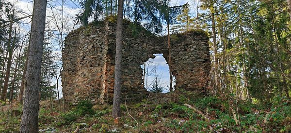 Hvězda