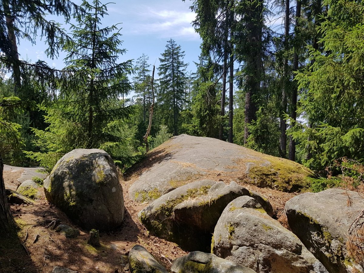 Jezevčí vrch (449 m)
