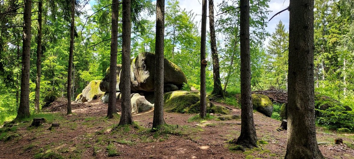 Šťastná padesátka (570 m)