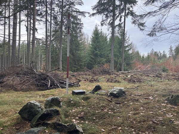 Holubník