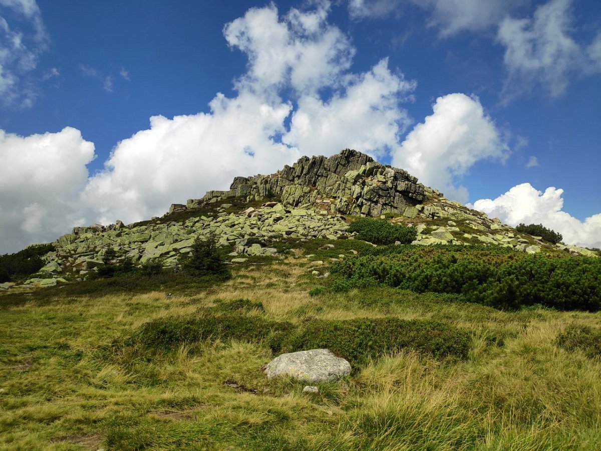 Violík (1472 m)