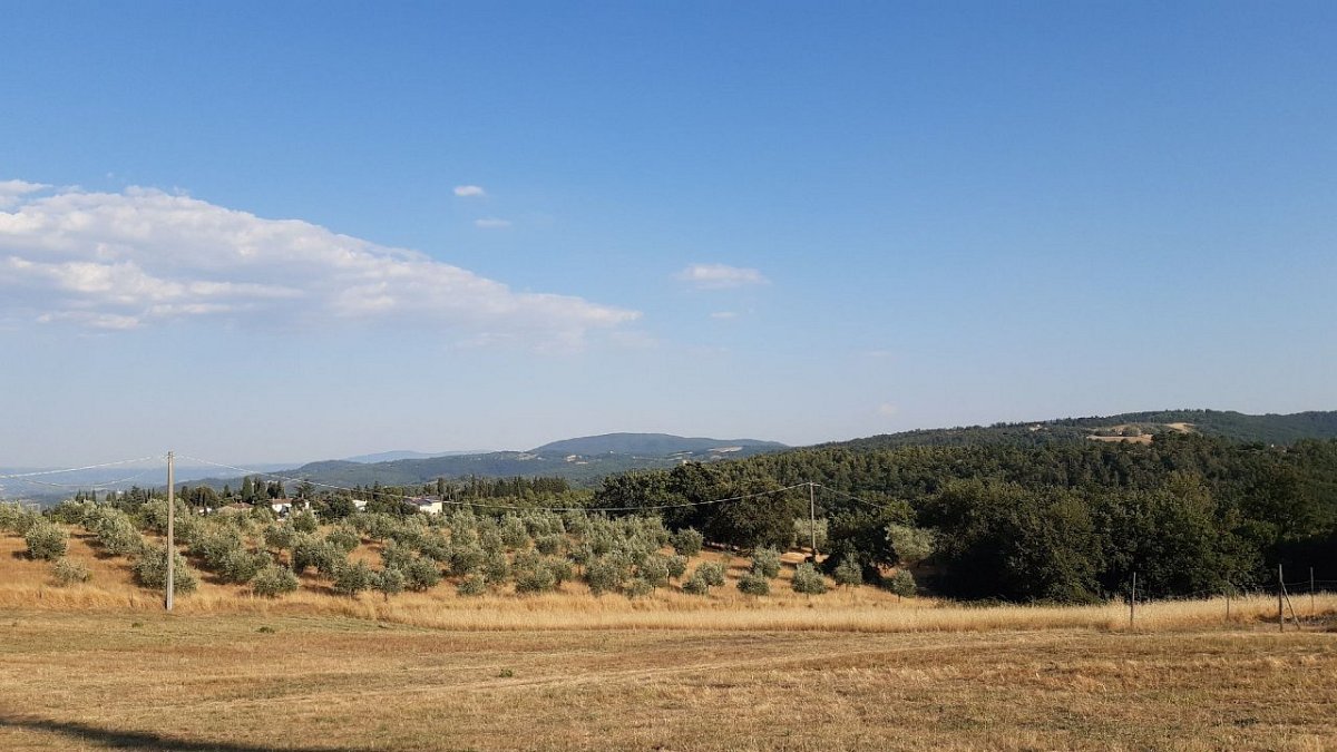 Poggio all'Aglione (465 m)