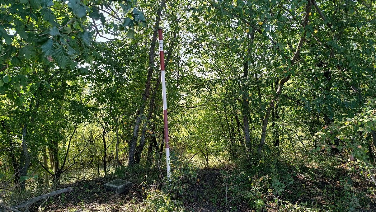 Přerovská hůra (237&nbsp;m)