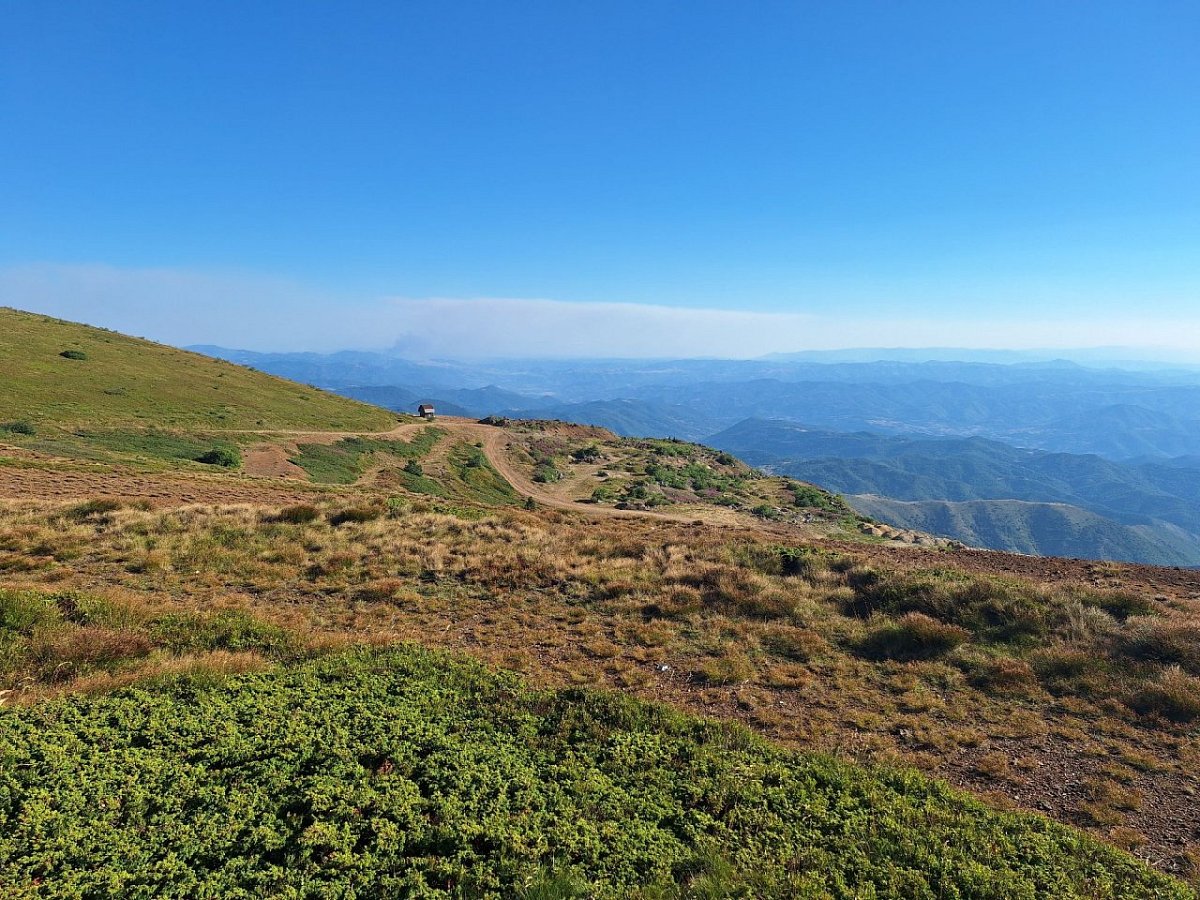 Rudishta e Thatë (1976&nbsp;m)