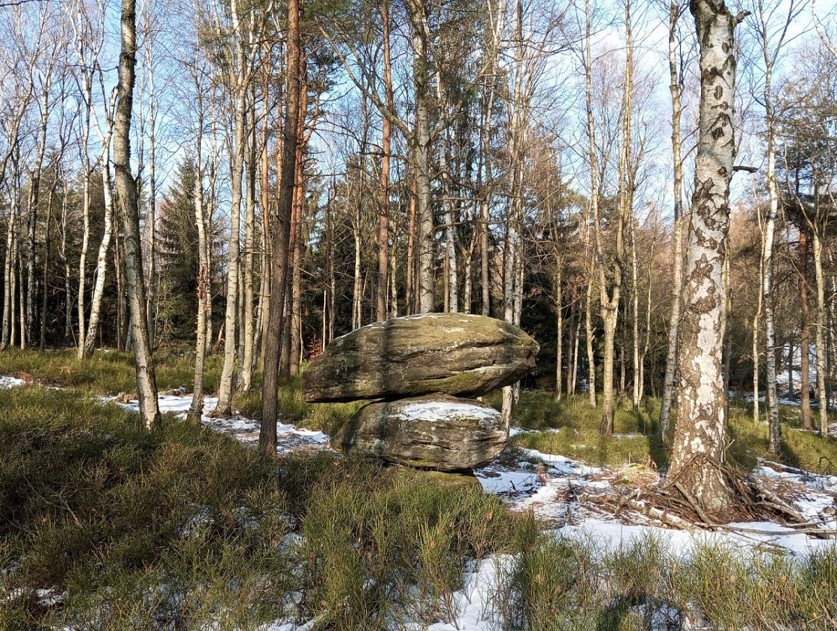 Severní stěny (591 m)